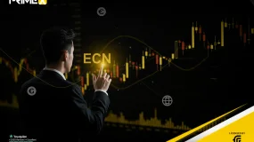 Why an ECN Broker is the Ultimate Choice for the Professional Trader