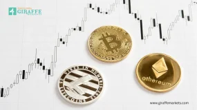 The Biggest Reason Why People Lose Money in Crypto