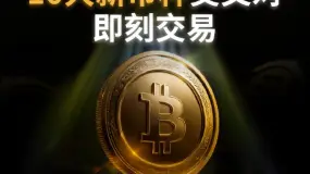 BCR每日晚评及分析 - 2025年9月10日