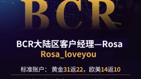 宝马iX3率先搭载，高通自动驾驶系统如何改变行业格局？——BCR观察