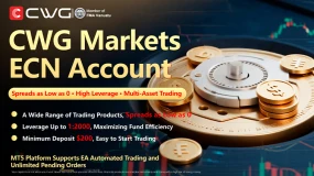 Start your efficient trading journey with CWG Markets ECN Account! 