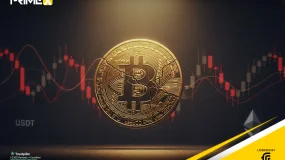 Is the Crypto Bull Cycle Approaching Its End?