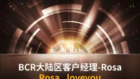 BCR解读:鲍威尔泼冷水,美联储内部分歧升温,12月降息悬而未决