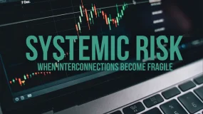 Systemic Risk: When Interconnections Become Fragile