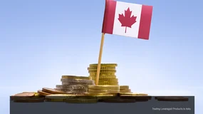 加拿大就业增速提振加元