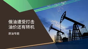 【原油专题】欧佩克停止增产 油价陷宽幅震荡
