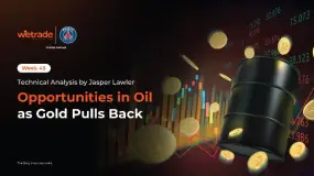 Opportunities in Oil as Gold Pulls Back - Week 45| Technical Analysis by Jasper Lawler