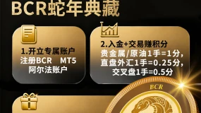 【BCR速览国际金融新闻】欧佩克+的抉择：保价格还是争市场？