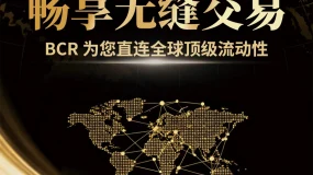 BCR每日晚评及分析 - 2025年11月18日