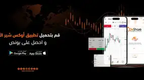 ⭐تقييمات مستخدمين عن شركة OXShare
