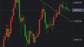 FXCG: 料国际金价将震荡上涨