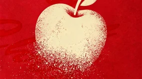 BCR每日晚评及分析 - 2025年12月24日