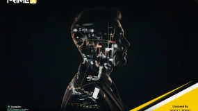 PrimeX Capital Investment Fund: Smart Passive Income Starting at $500