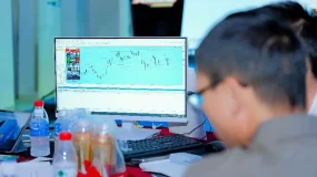 投资知识丨风险从何而来？