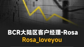 BCR研究：内存价格全面突破历史高点，谁在受益？谁在承压？