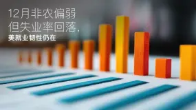 Amillex安迈每日汇评｜12月非农偏弱但失业率回落，美就业韧性仍在 