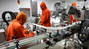 日本制药企业承压：TrumpRx引发震荡