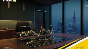 Fundo de Investimento PrimeX Capital: Por que a Agilidade Táctica é a Única Moeda que Importa