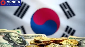 Moneta每日新闻：海外资产规模创新高，韩国净头寸进入调整阶段