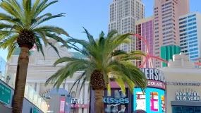 FXTRADING Economic Data Summary (Asia-Pacific | 02/27)