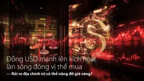 Bản tin Nhận định Thị trường Hằng ngày Amillex | Đồng USD mạnh lên kích hoạt làn sóng đóng vị thế mu