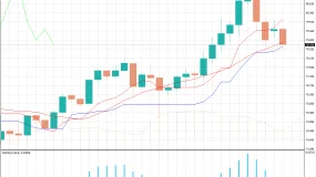 受中东冲突影响，原油价格与亚洲股市开始下跌