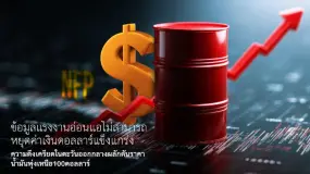 บทวิเคราะห์ตลาดรายวันของ Amillex