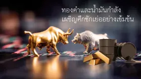 บทวิเคราะห์ตลาดรายวัน Amillex | ทองคำและน้ำมันกำลังเผชิญศึกชักเย่ออย่างเข้มข้น 