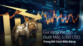 Bình luận Thị trường Hàng ngày Amillex | Giá Vàng Vật Lộn Dưới Mốc 5.000 USD Trong Bối Cảnh Biến Độn