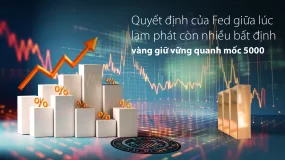 Bản tin thị trường hàng ngày Amillex | Quyết định của Fed giữa lúc lạm phát còn nhiều bất định, vàng