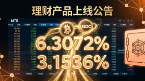 每秒都在赚钱！6.3072%年化理财产品今日开抢