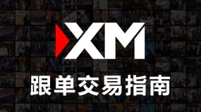 XM 本月精选跟单策略