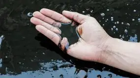 Oil Prices Surge in U.S.–Iran Tensions Persist and UAE Exit Shakes OPEC Stability