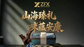 ZFX山海证券端午礼献：礼承山海，味蕴安康