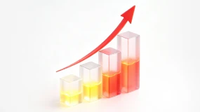 交易量报告 | D Prime 2026 年 6 月份交易量报告