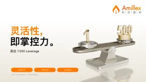 智汇全球，掌控全局 | Amillex 打造真正灵活的多元资产配置平台