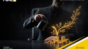 صندوق برايم اكس الاستثماري: تقرير الأداء - يوليو 2026