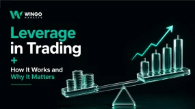 Leverage in Trading + How It Works and Why It Matters