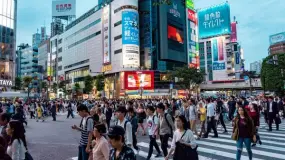 日本企业盈利全面修复,多数行业实现业绩增长
