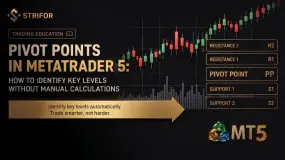 Pivot Points in MetaTrader 5: How to Identify Key Levels Without Manual Calculations
