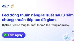 ACY Securities - Trái phiếu dừng đà giảm khi Fed quyết tâm đối phó lạm phát, USD tăng