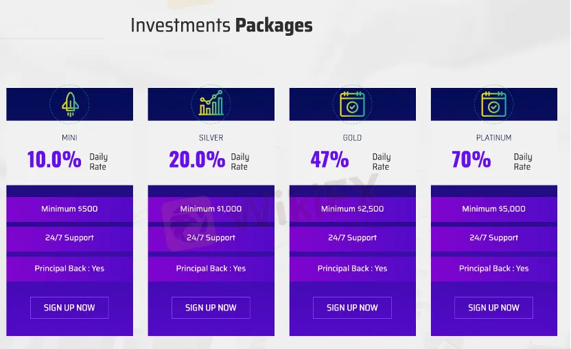 Investment Investment